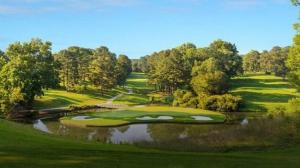A lush, manicured expanse of green space
