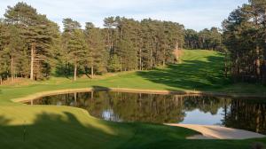 Lush golf course with water nestled among trees
