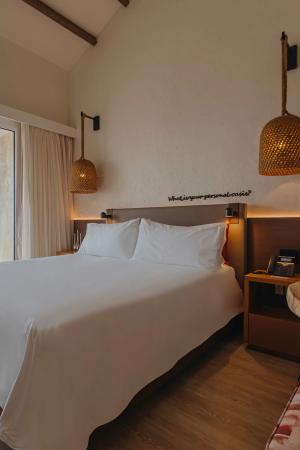 Wind Creek Aruba Legacy Hotel Island Room